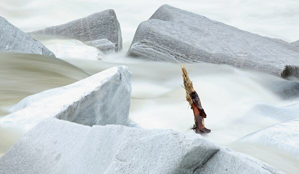 Forum Öko-Exzellenz für Kärnten