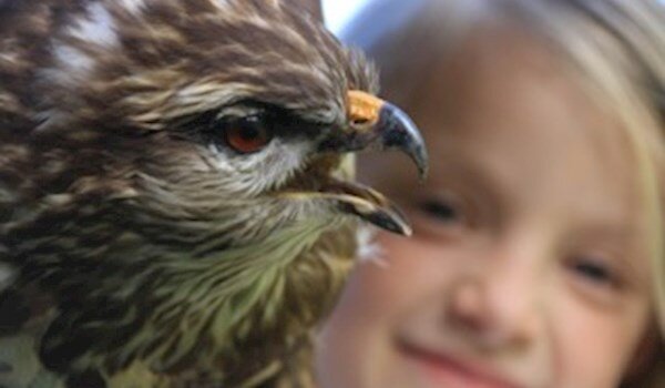 Kärntner Kindermalschule "extern"